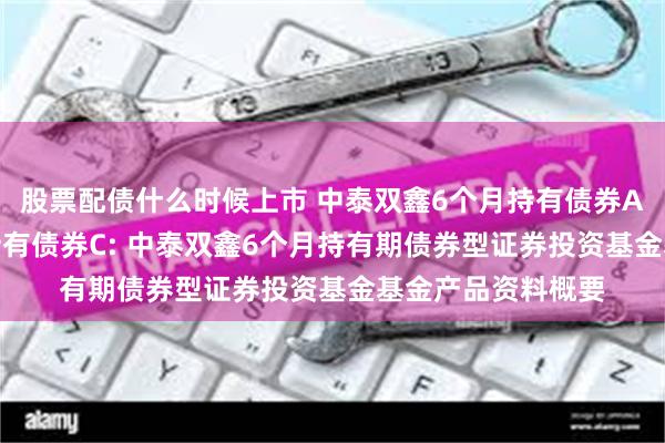 股票配债什么时候上市 中泰双鑫6个月持有债券A,中泰双鑫6个月持有债券C: 中泰双鑫6个月持有期债券型证券投资基金基金产品资料概要