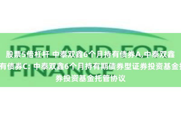 股票5倍杠杆 中泰双鑫6个月持有债券A,中泰双鑫6个月持有债券C: 中泰双鑫6个月持有期债券型证券投资基金托管协议