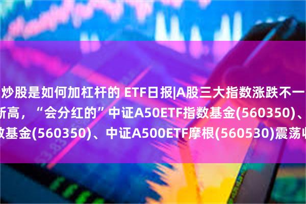 炒股是如何加杠杆的 ETF日报|A股三大指数涨跌不一，沪指盘中再创年内新高，“会分红的”中证A50ETF指数基金(560350)、中证A500ETF摩根(560530)震荡收涨